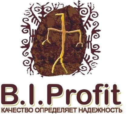 B.I.Profit